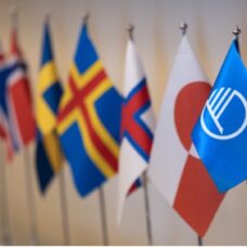 Nordiska flaggor i och Nordiska rådets flagga (bordsflaggor)