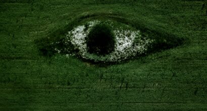 Photo by Egor Vikhrev on Unsplash (https://unsplash.com/photos/green-grass-field-with-water-TJ0KagkqA2Y)