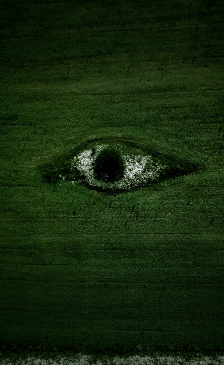 Photo by Egor Vikhrev on Unsplash (https://unsplash.com/photos/green-grass-field-with-water-TJ0KagkqA2Y)
