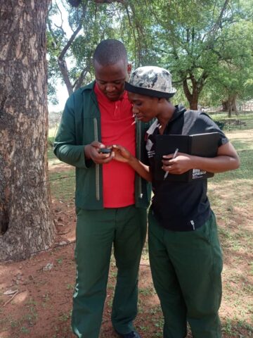 Mapping Marula with GPS.