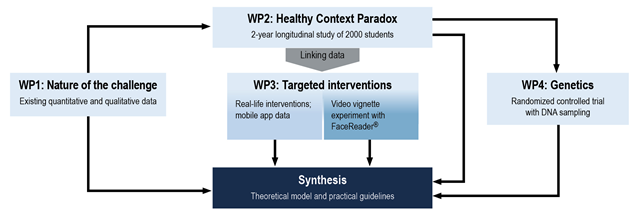 A graph explaining the WP structure of the challenge project. Challenge-hankkeen työpaketteja selventävä kuvio