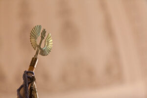 Maija Setälän tutkimusryhmälle Turun yliopiston vaikuttavuustekopalkinto