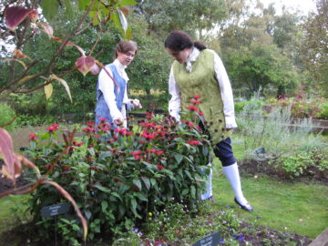 Punaväriminttu ja opiskelijoita draamaopastusta tekemässä Pukkilan kartanon puutarhassa.