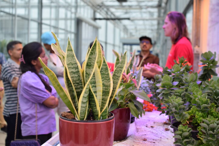 A group of people stand behind colourful plants arranged on a table. 