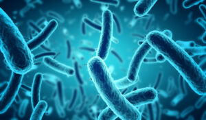 EQA round - Antimicrobial susceptibility testing (AST)