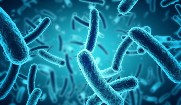 Corynebacterium diphtheriae Outbreak in Migrant Populations in Europe