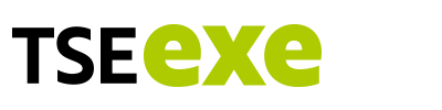 TSE exe logo