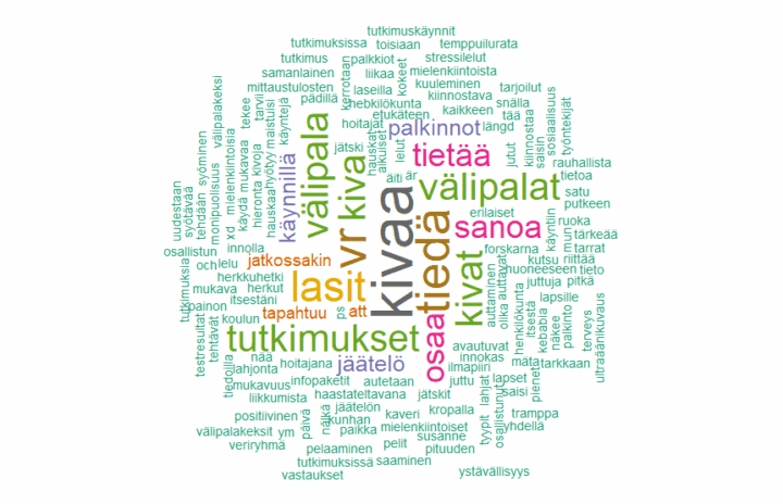 Sanapilvi tutkimuskäynnin palautteista