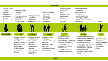 Kuvaus tutkimuksen tiedonkeruusta eri ikäpisteissä