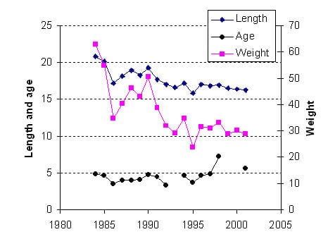 Saaristomerellä lisääntyvän silakkakannan pituus-, ikä- ja painotiedot vuosina 1984-2001