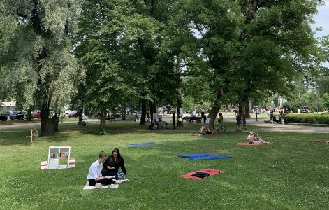 Ihmisiä lukemassa nurmikolla Kupittaanpuistossa