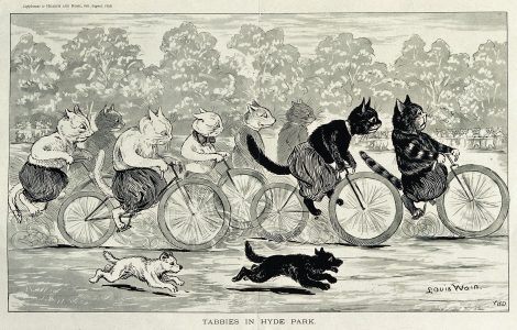 Louis Wainin piirustus kissoista pyöräilykilpailuissa, 1896