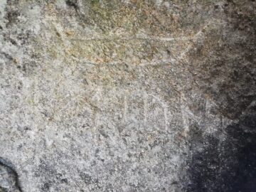 Höjsal runic inscription. Photo: Kendra Willson.