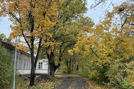 Maisemakuva, jossa rakennuksia ja ruskan värjäämiä puita.