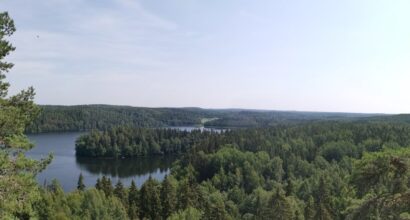 Korkealta otettu maisemakuva, jossa on järvi ja metsää. Vasemmassa reunassa kohoaa mänty.