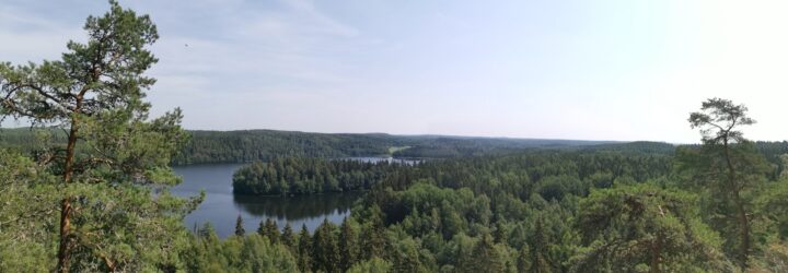 Korkealta otettu maisemakuva, jossa on järvi ja metsää. Vasemmassa reunassa kohoaa mänty.