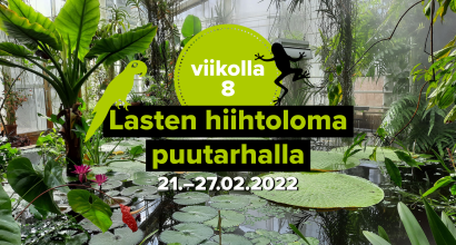 Hiihtoloma puutarhalal kuva jossa lummelampi taustalla.