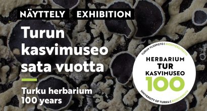 kasvimuseo sata vuotta teksti, jossa taustalla lähikuva jäkälästä.