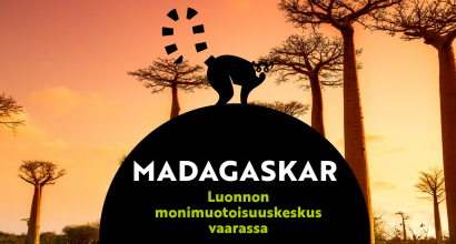 Madagaskar näyttelyn mainoskuva.
