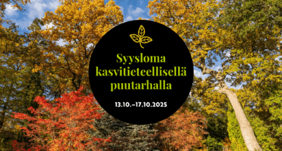 Syysloma mainos jonka taustalla ruskan värittämiä puita.