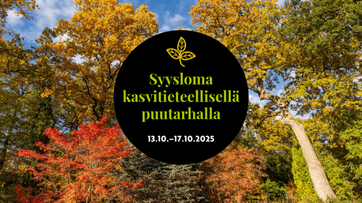 Syysloma mainos jonka taustalla ruskan värittämiä puita.