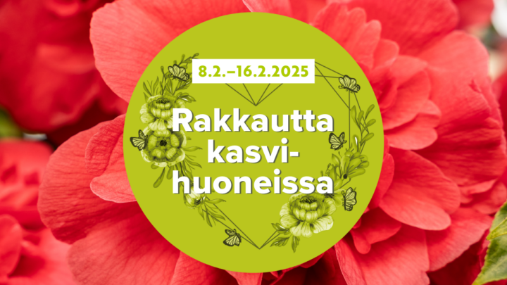 rakkautta kasvihuoneissa mainoskuva