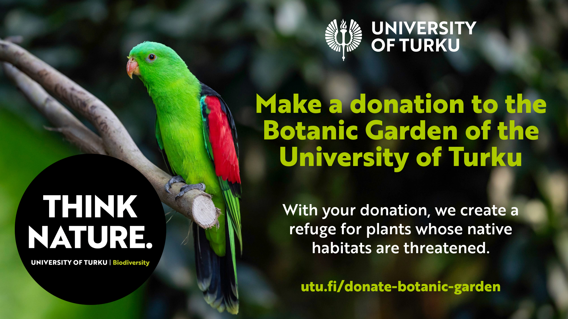 Make a donation image with green parrot in garden.