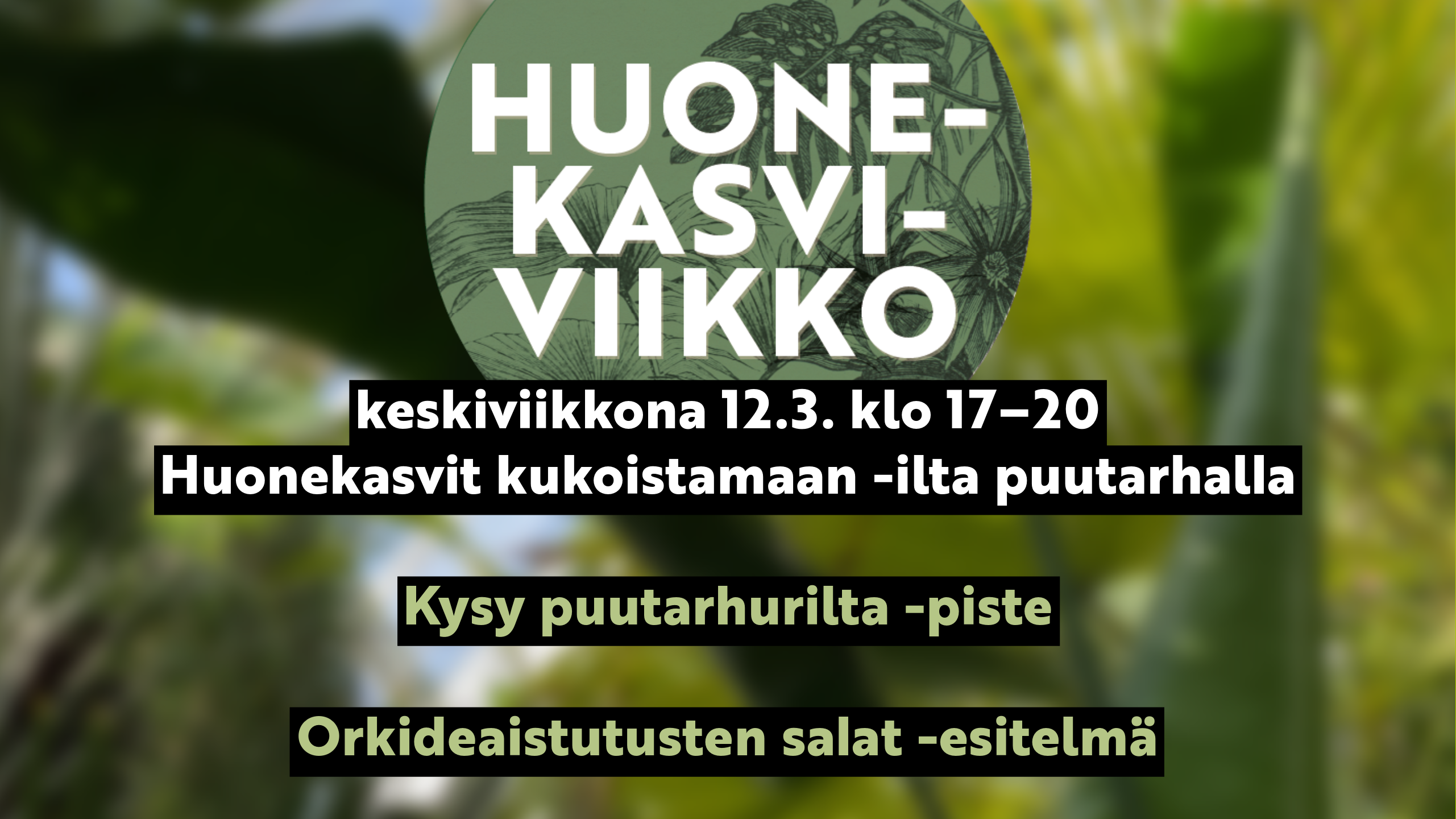 Huonekasvit kukoistamaan illan mainoskuva.