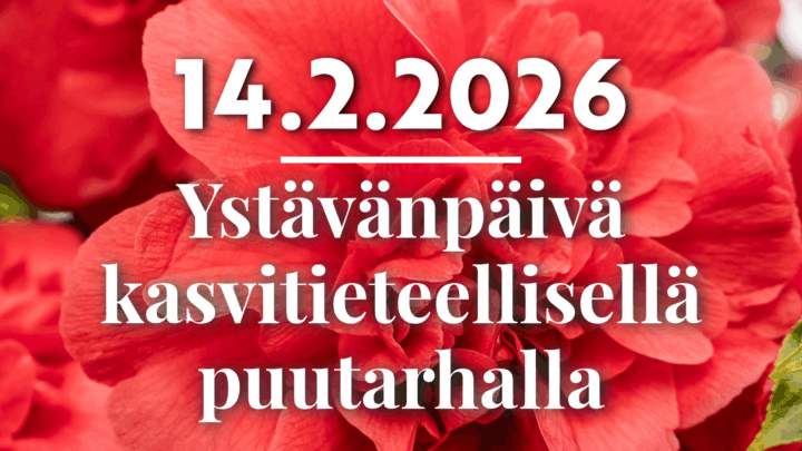ystävänpäivä 2026 tapahtumakuva