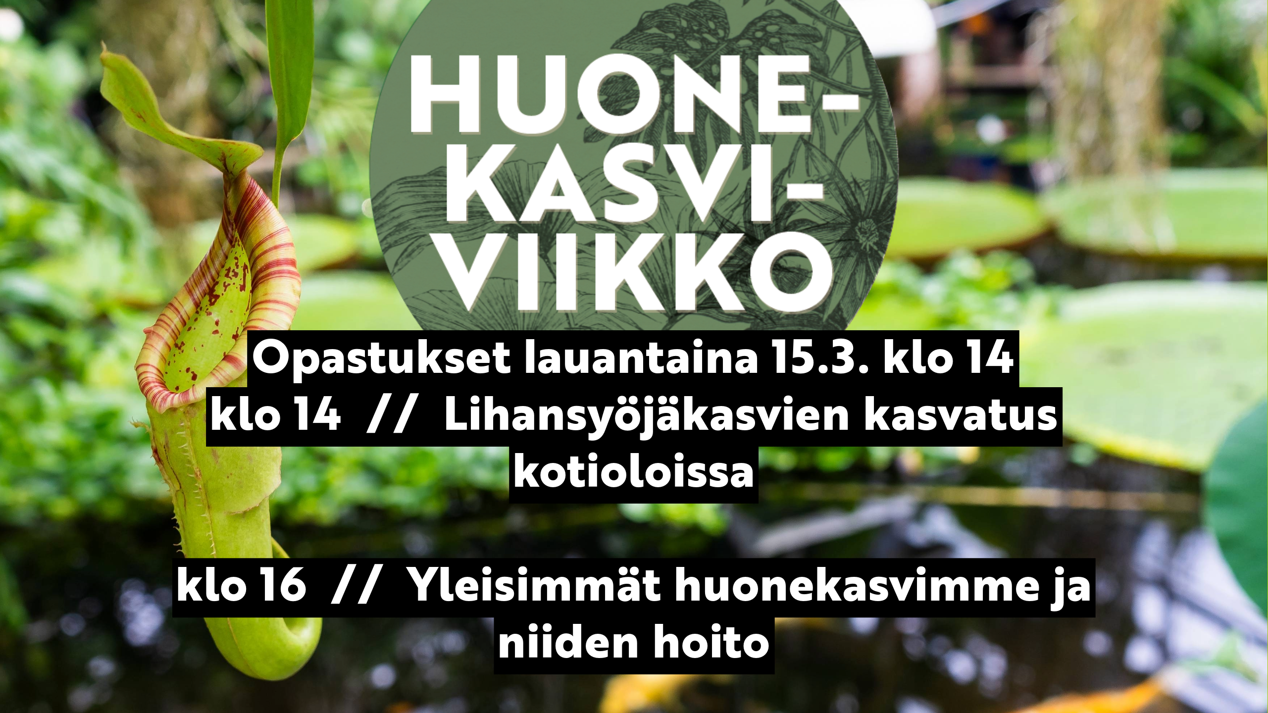 huonekasviviikon mainoskuva jossa lihansyöjäkasvi tropiikkihuoneessa.