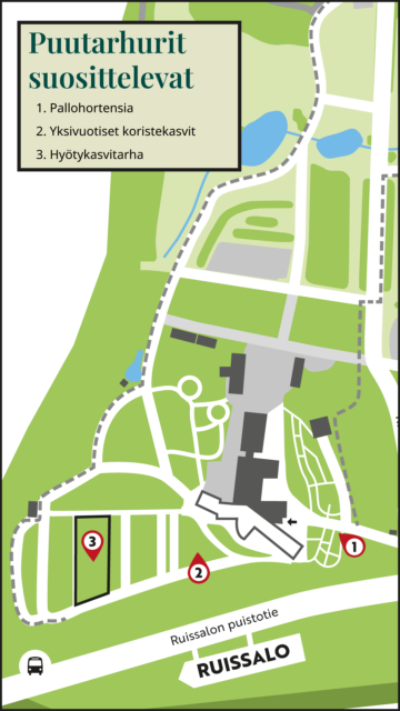 Puutarhurit suosittelevat: 1. Pallohortensia kivikkotarhassa 2. Yksivuotiset koristekasvit 3. Hyötykasvitarha