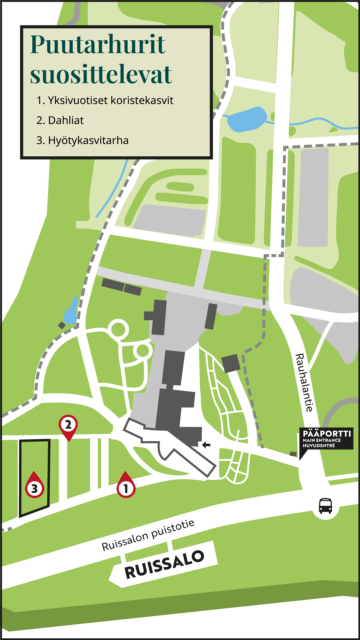 Puutarhurit suosittelevat
1. Yksivuotiset koristekasvit
2. Dahliat kukkivat systemaattisen osaston päädyssä
3. Hyötykasvitarha