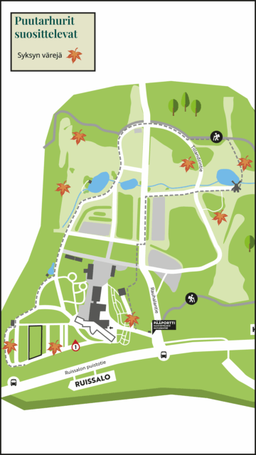 Puutarhurit suosittelevat:
Syksyn värejä ympäri puutarhaa.