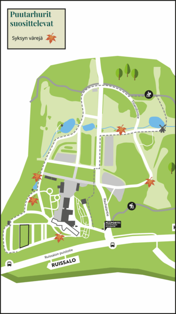 Puutarhurit suosittelevat:
Syksyn värejä ympäri puutarhaa.