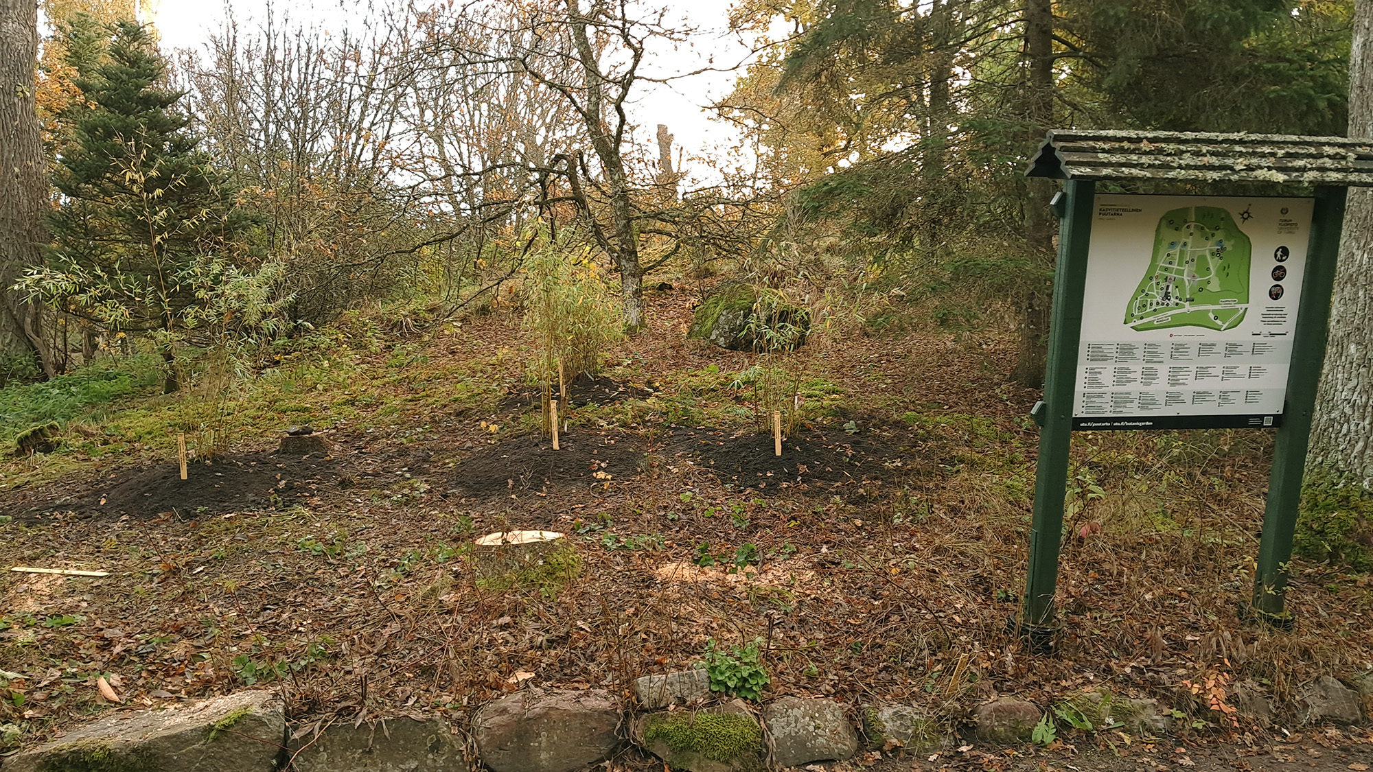 Karsittu ja uudelleen istutettu alue jonka reunalla näkyy puutarhan kartta. 