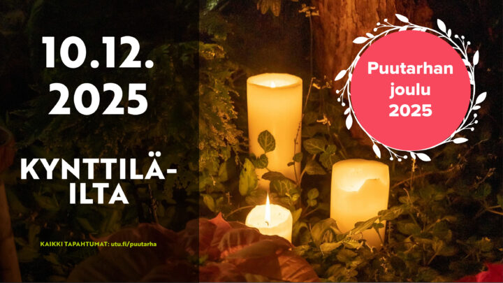 kynttilöitä kasvihuoneessa.