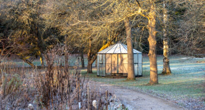 Kasvihuone loppusyksyllä auringonvalossa.