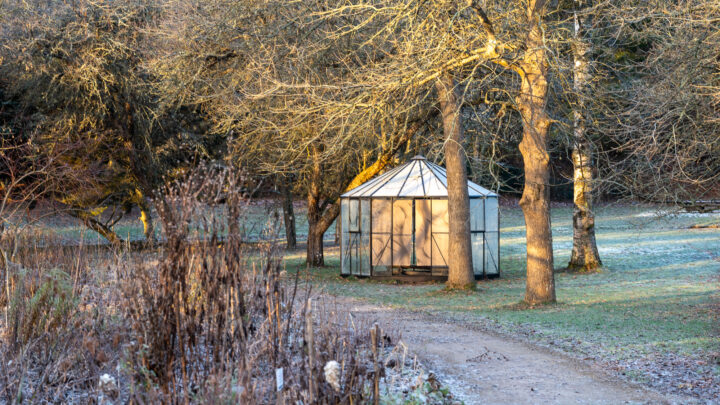 Kasvihuone loppusyksyllä auringonvalossa.