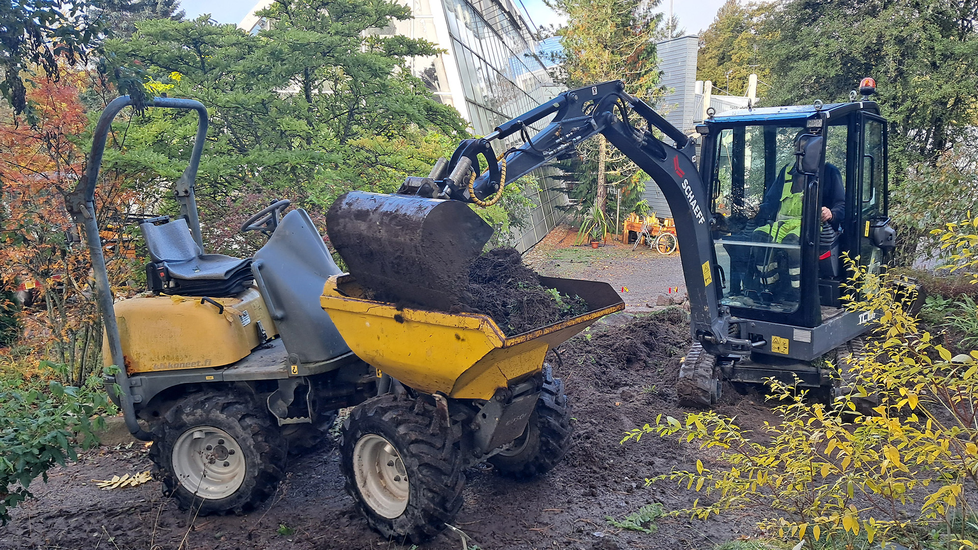 Traktori kaataa kuormalavalle multaa kauhasta. 