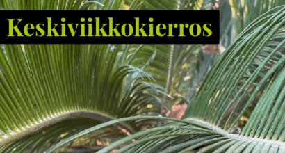 Japaninkruunukävykin lehtiä