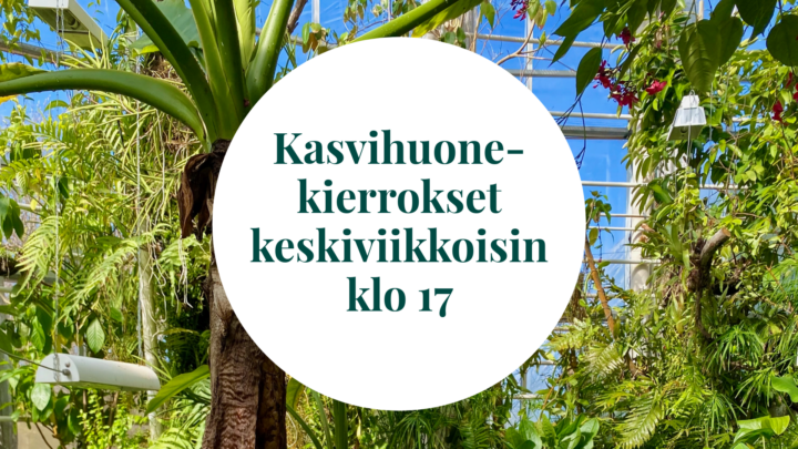 keskiviikkokierrosten mainoskuva