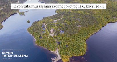Ilmakuva Kevonniemestä. Rakennuksia ja metsää järven rannalla.