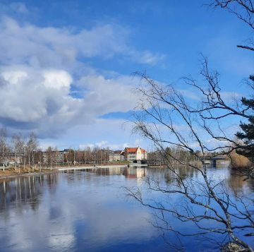 Scenery from Pielisjoki river