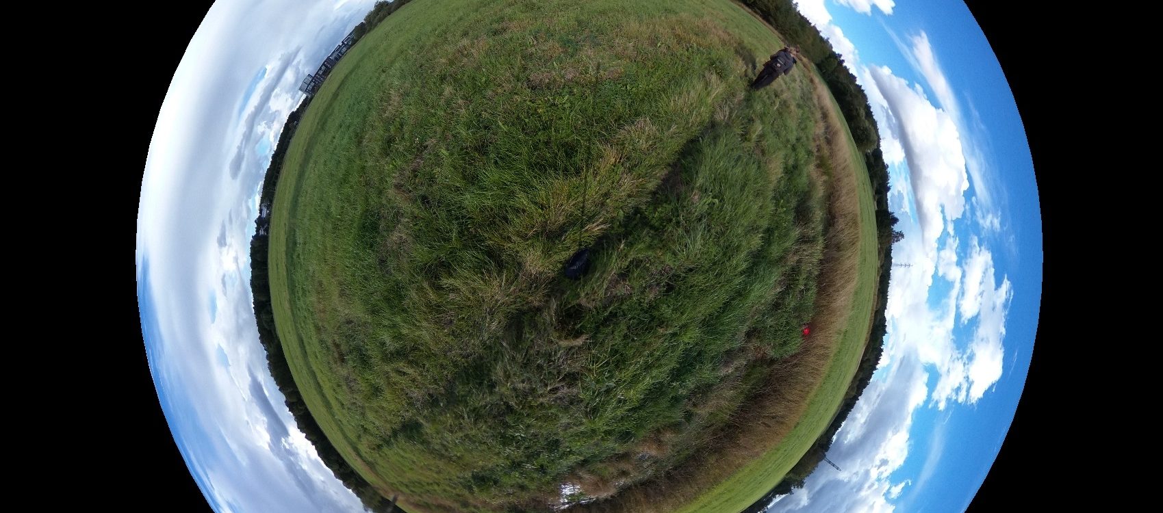 360 degree photo from a field in a summer day.