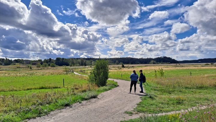Researcher interviewing a person in sunny summer day in the road middle of fields. Sky is half cloudy and forest area is far distant.