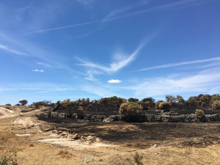Signs of wildfire in a dry landscape with a few remaining dry bushes and a old thick fence made out of rocks. All the grass surrounding the burned site is dry and brown in color. The sun is shining with a few small clouds. 