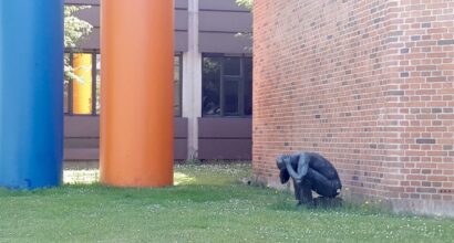 The picture shows a statue crouching by a building wall, holding its head.