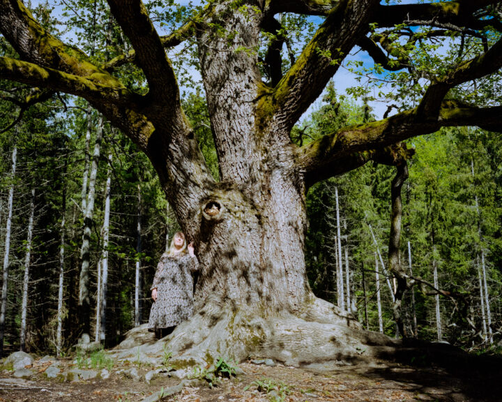 A woman is leaning on a large old decidous tree in a forest.
