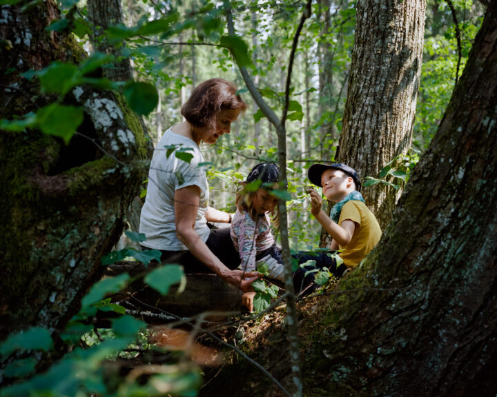 A woman and two kids are in the forest. They are squatting between the trees exploring the leaves and other things on the forest floor.