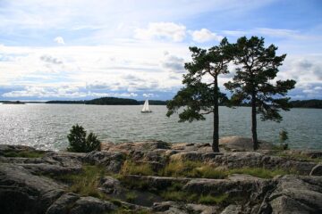 Maisemakuva, etualalla kallioranta ja kaksi mäntyä, taustalla näkyy saari ja purjevene.